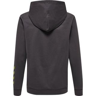 Hummel  baumwoll-kapuzenpullover kind off-grid 