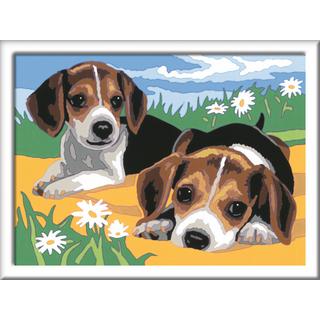 Ravensburger  Malen nach Zahlen Jack Russel Welpen 