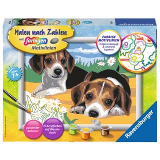 Ravensburger  Malen nach Zahlen Jack Russel Welpen 