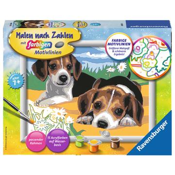 Malen nach Zahlen Jack Russel Welpen