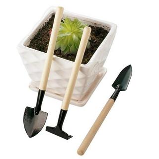 eStore  3x outils de jardin pour pots de fleurs 