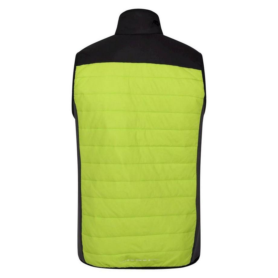 Regatta  Halton Vi Gilet Imbottito Leggera 