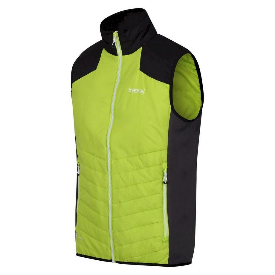Regatta  Halton Vi Gilet Imbottito Leggera 