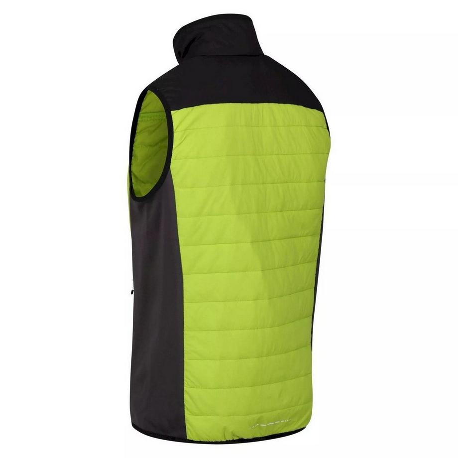Regatta  Halton Vi Gilet Imbottito Leggera 