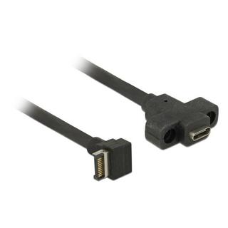 DeLock  85326 USB Kabel 0,45 m USB 3.2 Gen 2 (3.1 Gen 2) USB A USB C Schwarz 