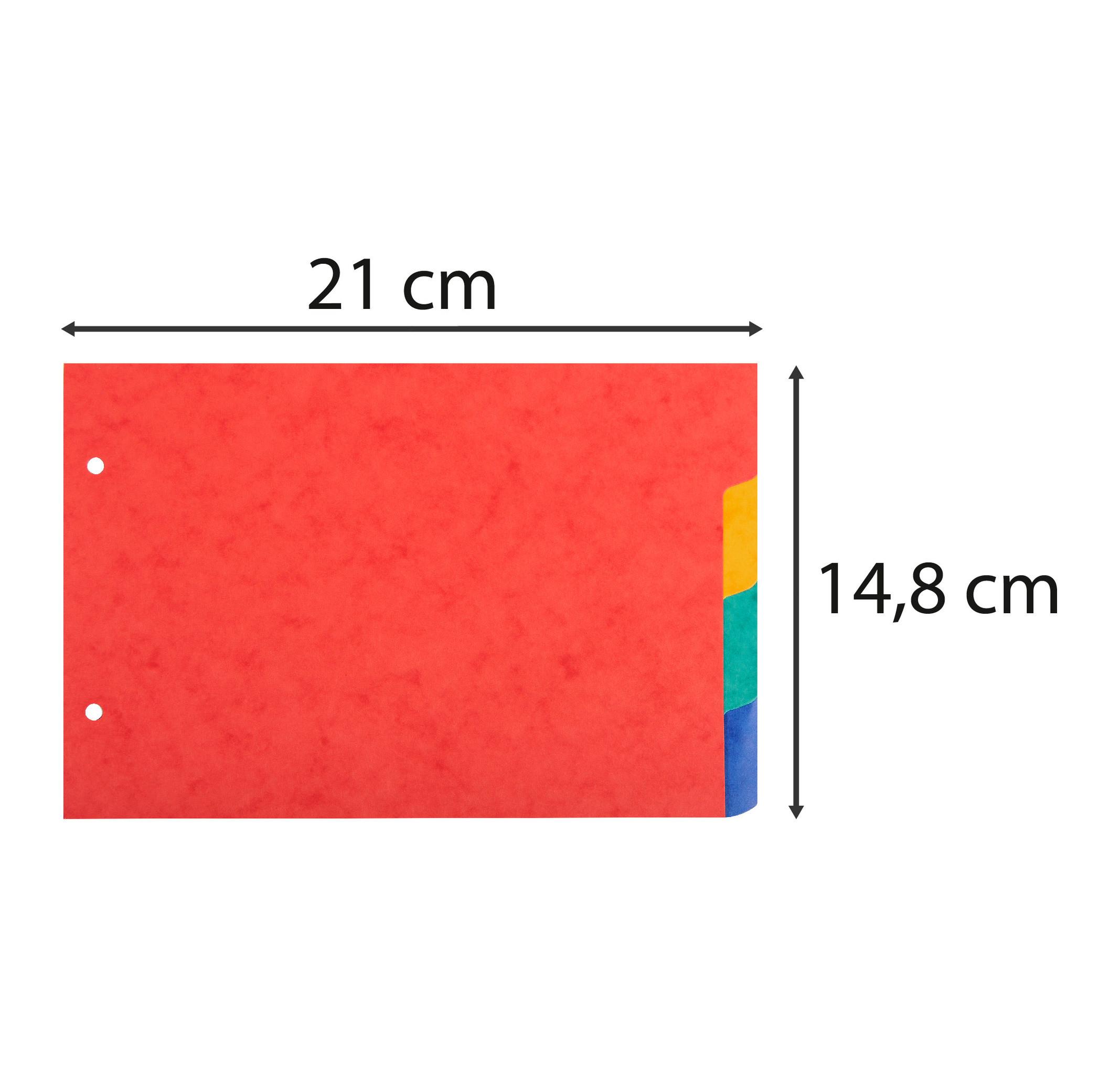 Exacompta Divisori neutri 4 tasti 2 fori per schede bristol cartoncino lustré 225g/mq - 148x210mm - x 10  