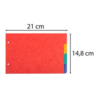 Exacompta Divisori neutri 4 tasti 2 fori per schede bristol cartoncino lustré 225g/mq - 148x210mm - x 10  