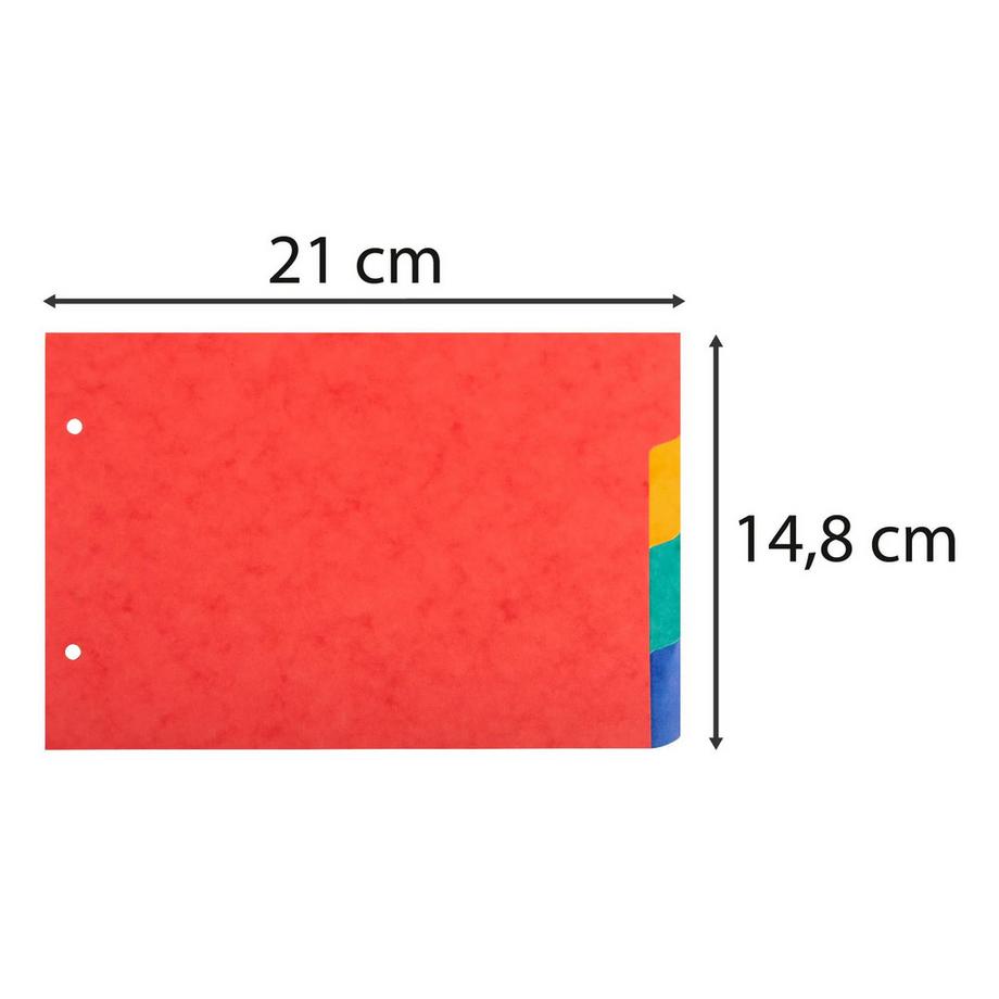 Exacompta Intercalaires pour fiches bristol carte lustrée 225g/m2 4 positions - A5 148x210mm - x 10  