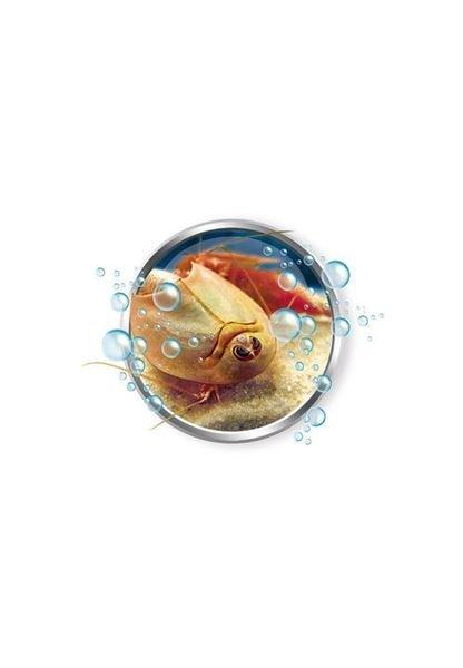 Clementoni  Mes Premiers Triops 