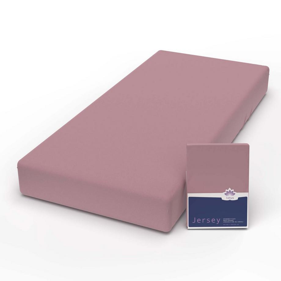 Lotus Bettwaren Jersey Comfort Fixleintuch  
