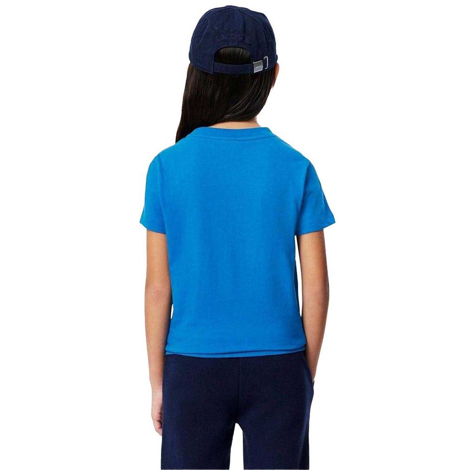 LACOSTE  T-ShirtMotiftyle Brodé Basic 