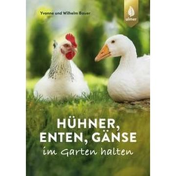 Hühner, Enten, Gänse im Garten halten