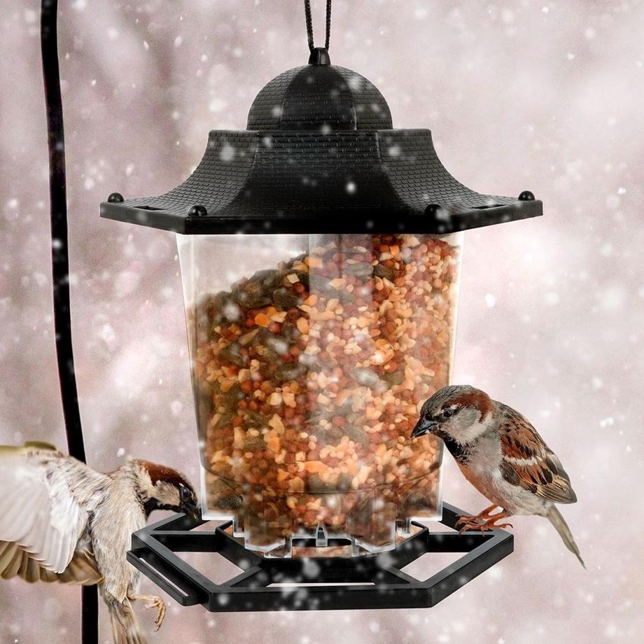 ProGarden  Vogelfutterspender, der das ganze Jahr über kleine Vögel anlockt 