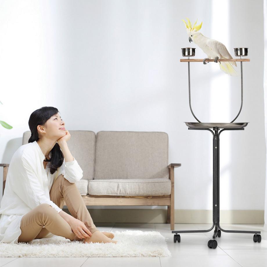 B2X  Papageienstange mit Ständer 