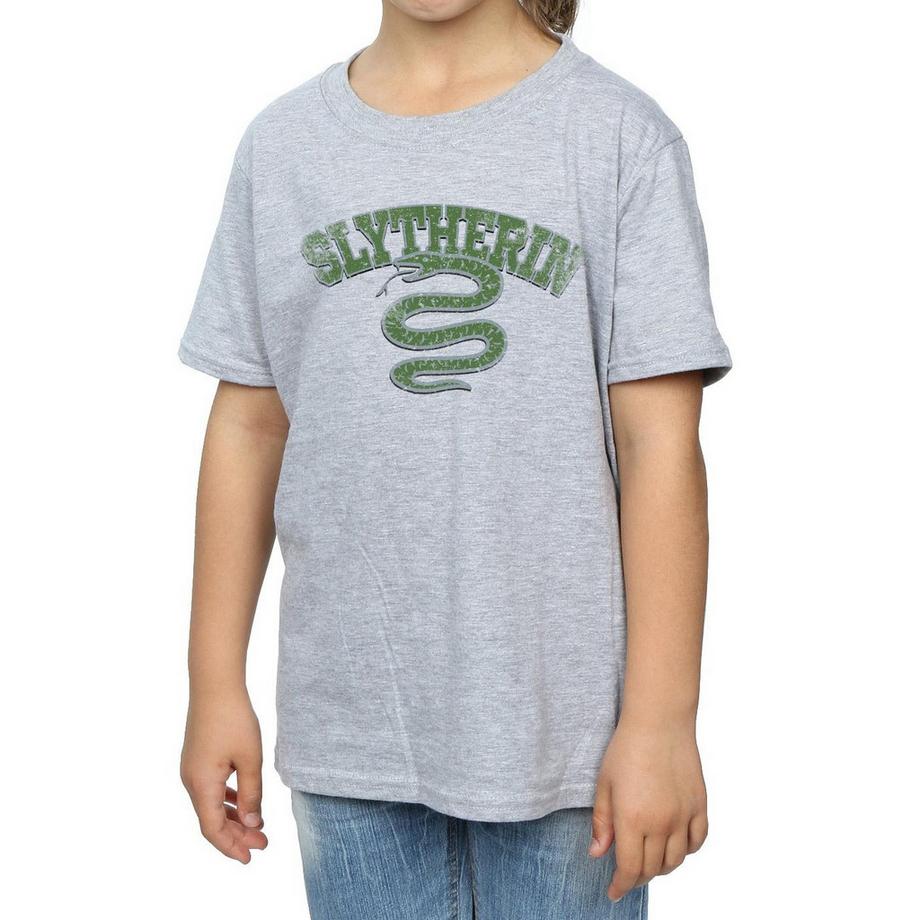 Harry Potter  Slytherin TShirt 
