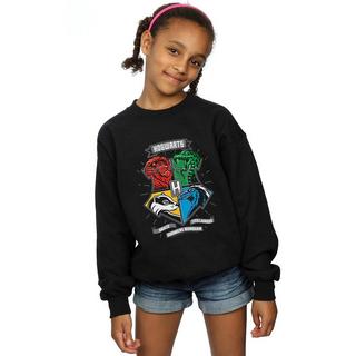 Harry Potter  Hogwarts Sweatshirt 