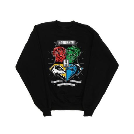 Harry Potter  Hogwarts Sweatshirt 