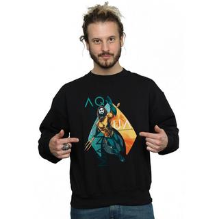 DC COMICS  Sweatshirt 