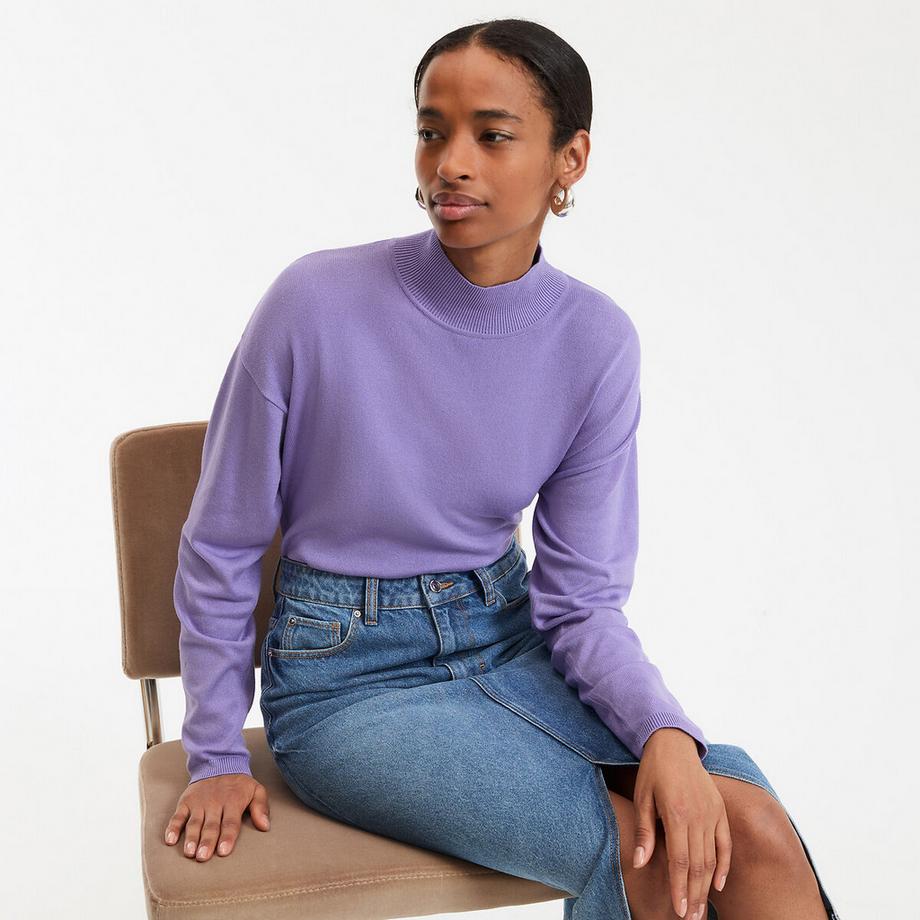 La Redoute Collections Pull Col Montant  