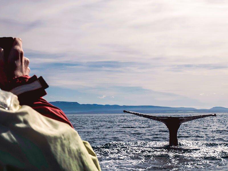 Smartbox  3 Übernachtungen im schönen Island auf der Entdeckung des Nordlichts und der Blauen Lagune - Geschenkbox 