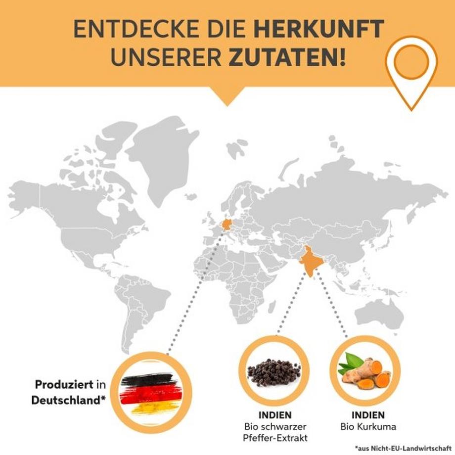 Tefal  Capsule di piperina curcuma biologica 100 