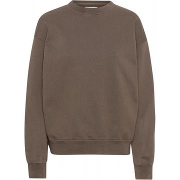 Sweatshirt col rond  Organic oversized cedar brown