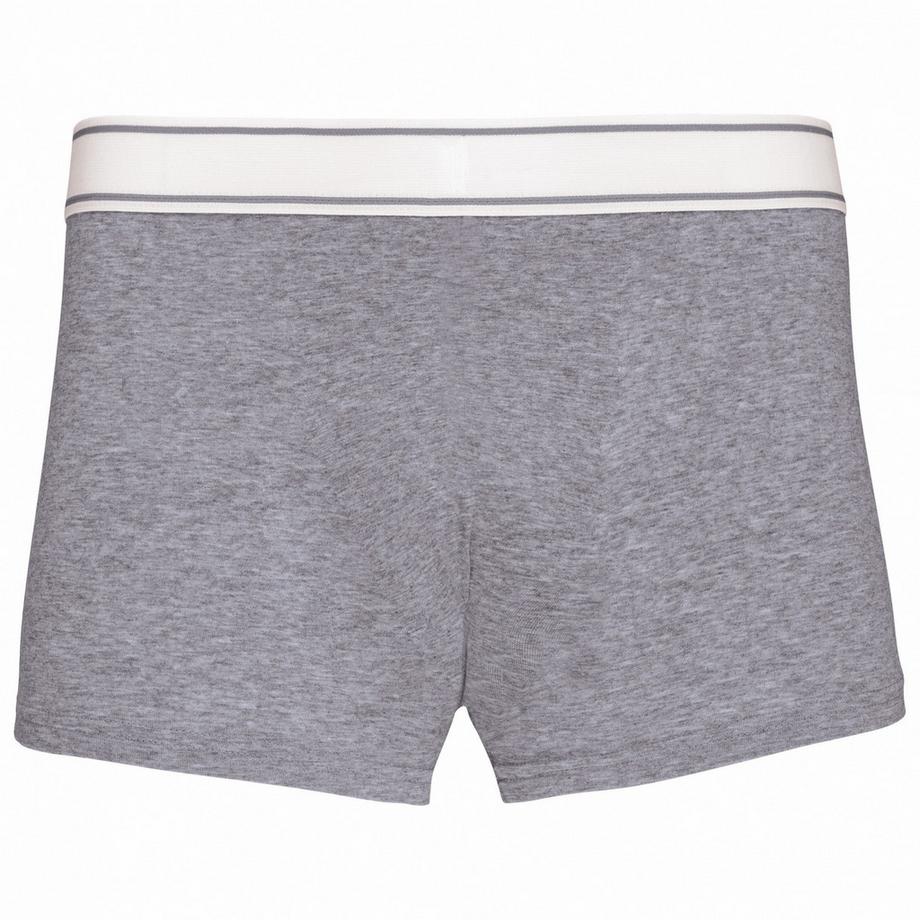 Kariban  Boxer 