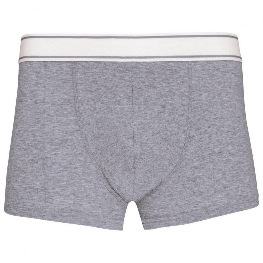 Boxer