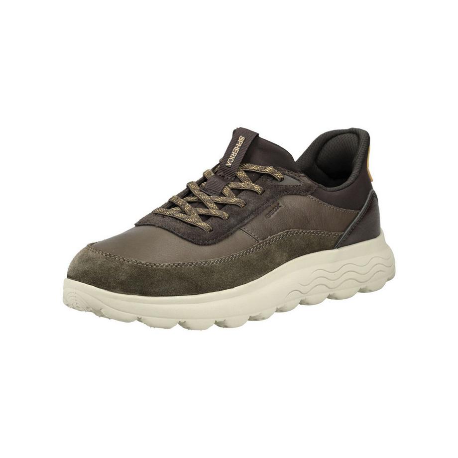 GEOX  sneakers spherica plus 