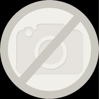 Kosmos  Experimentierkasten Gips Skulpturen 