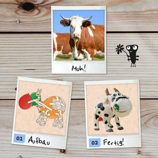 Kosmos  Experimentierkasten Gips Skulpturen 