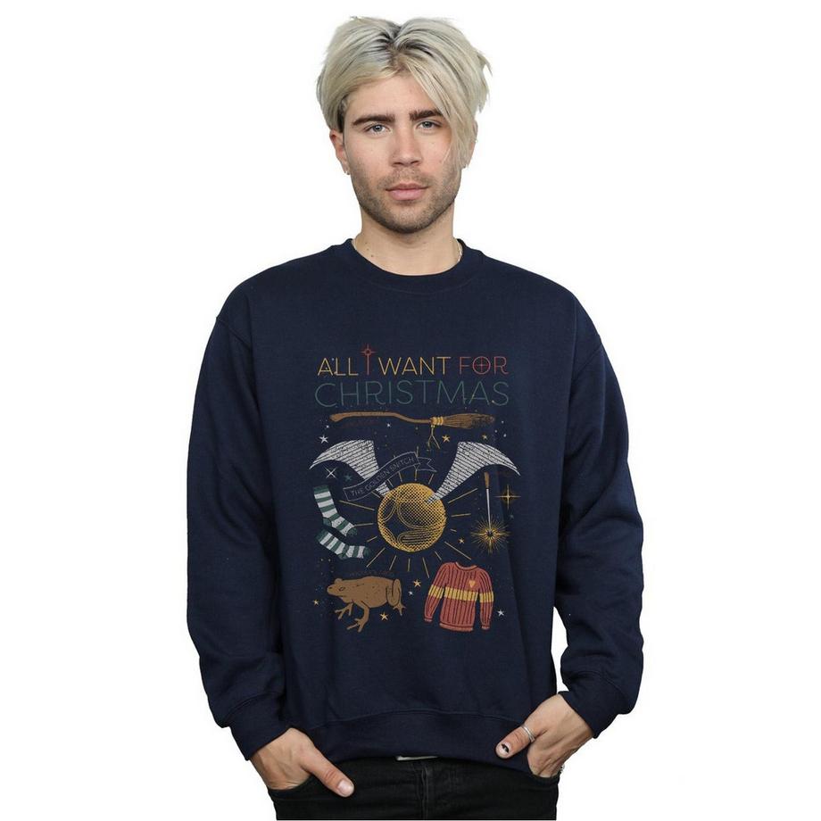 Harry Potter All I Want For Christmas Sweatshirt  