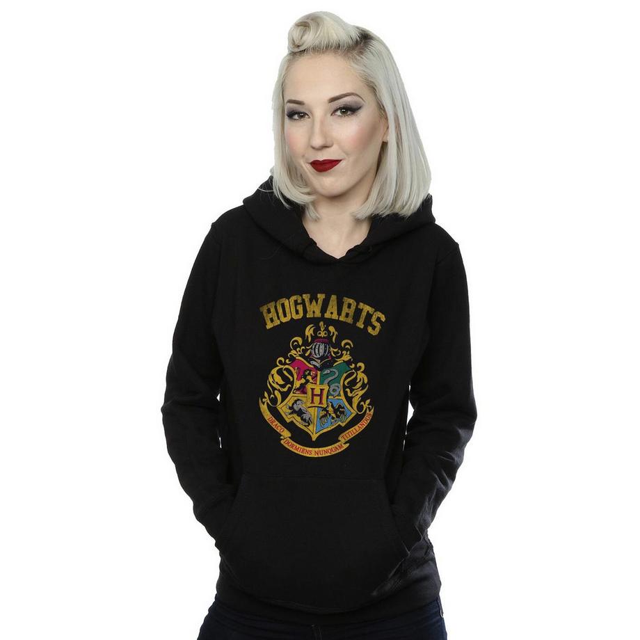 Harry Potter Hogwarts Sweat à Capuche  