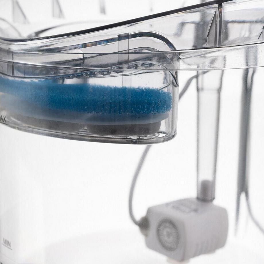 eStore  Fontaine à eau électrique pour animaux de compagnie - 2 l 