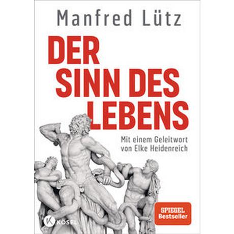 Der Sinn des Lebens Lütz, Manfred Couverture rigide 