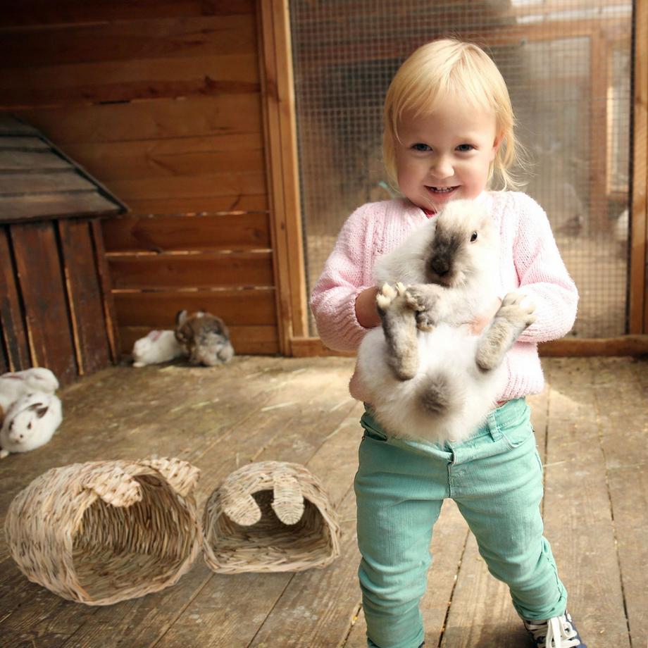 B2X  Maison pour lapins, lot de 2 avec jouets 