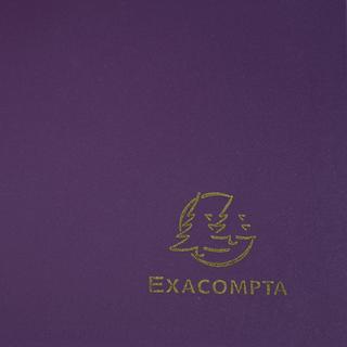 Exacompta Cartella 3 lembi con elastici polipropilene 400 micron Opak - A4 - x 30  