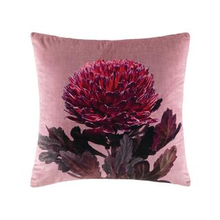 Kas Hope Taie d'oreiller  