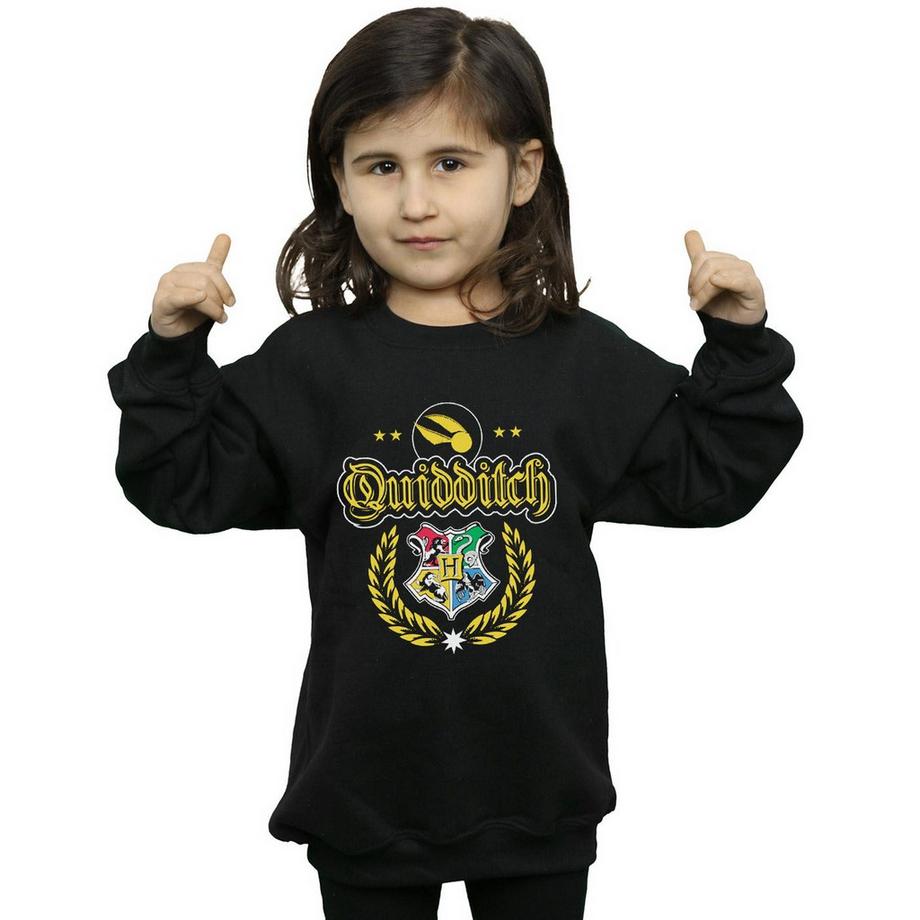 Harry Potter  Quidditch Sweatshirt 