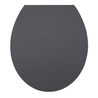 diaqua Sedile WC Hollywood Slow Down antracite  