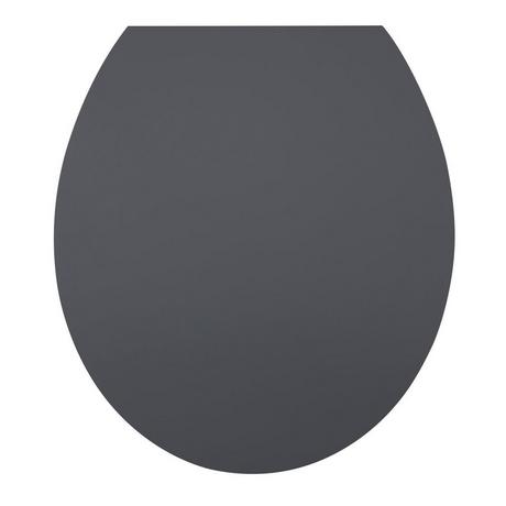 diaqua Sedile WC Hollywood Slow Down antracite  