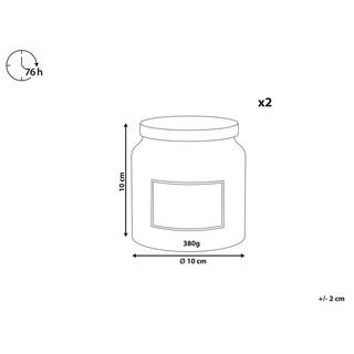 Beliani Set di 2 Candele Profumate en Cera di Soia ABSOLUTE ALCHEMY  