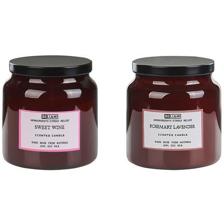 Beliani Lot de 2 bougies parfumées en Cire de soja ABSOLUTE ALCHEMY  