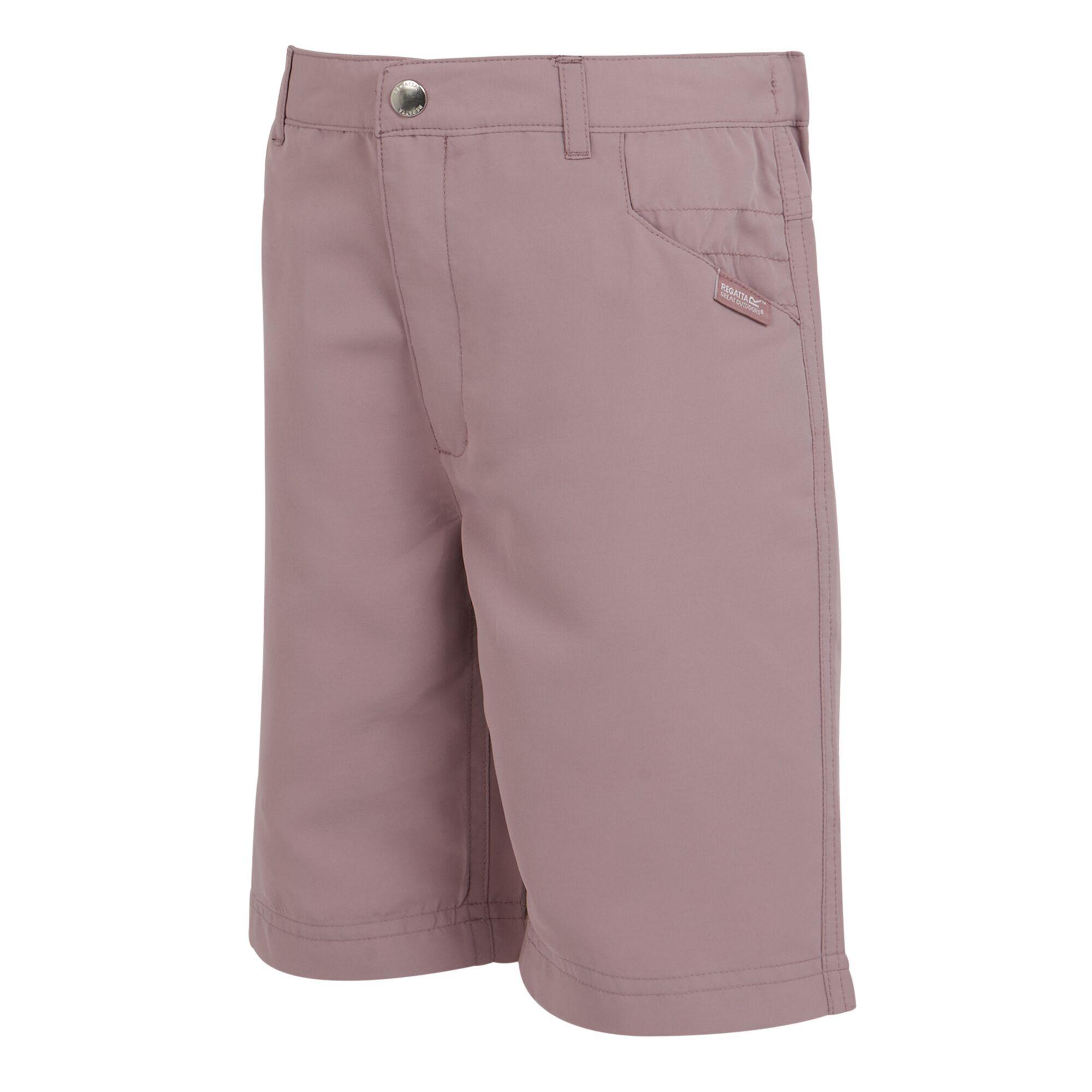 Regatta  Short SORCER 