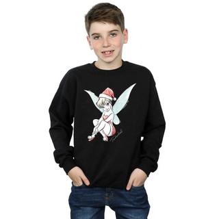 Disney  Fairy Sweatshirt 