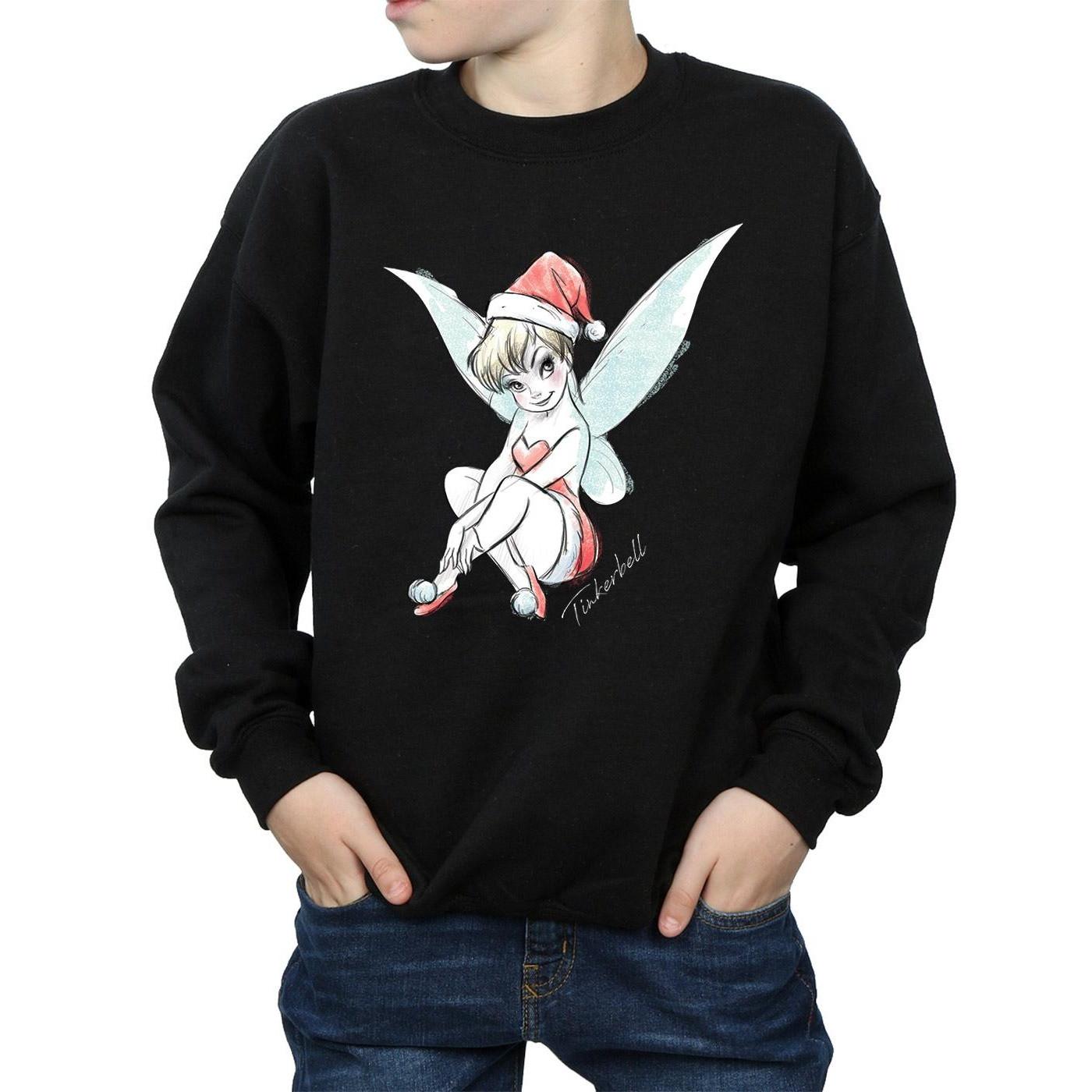 Disney  Fairy Sweatshirt 