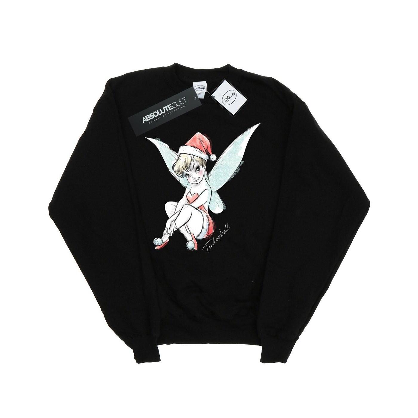 Disney  Fairy Sweatshirt 