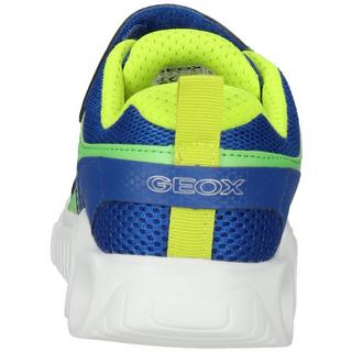 GEOX  Sneaker 