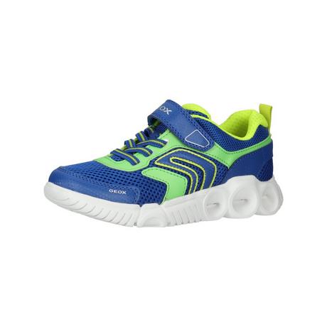 GEOX  Sneaker 