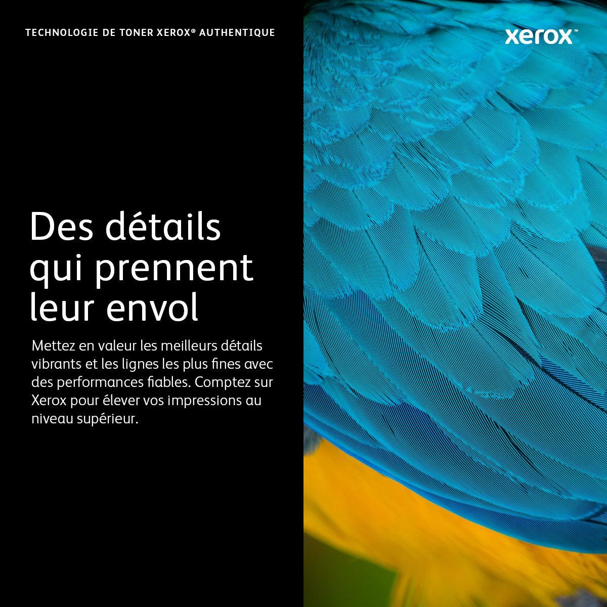 XEROX  Cartouche de toner Noir de Capacité standard Phaser® 3330, Série WorkCentre® 3300 (2600 pages) - 106R03620 